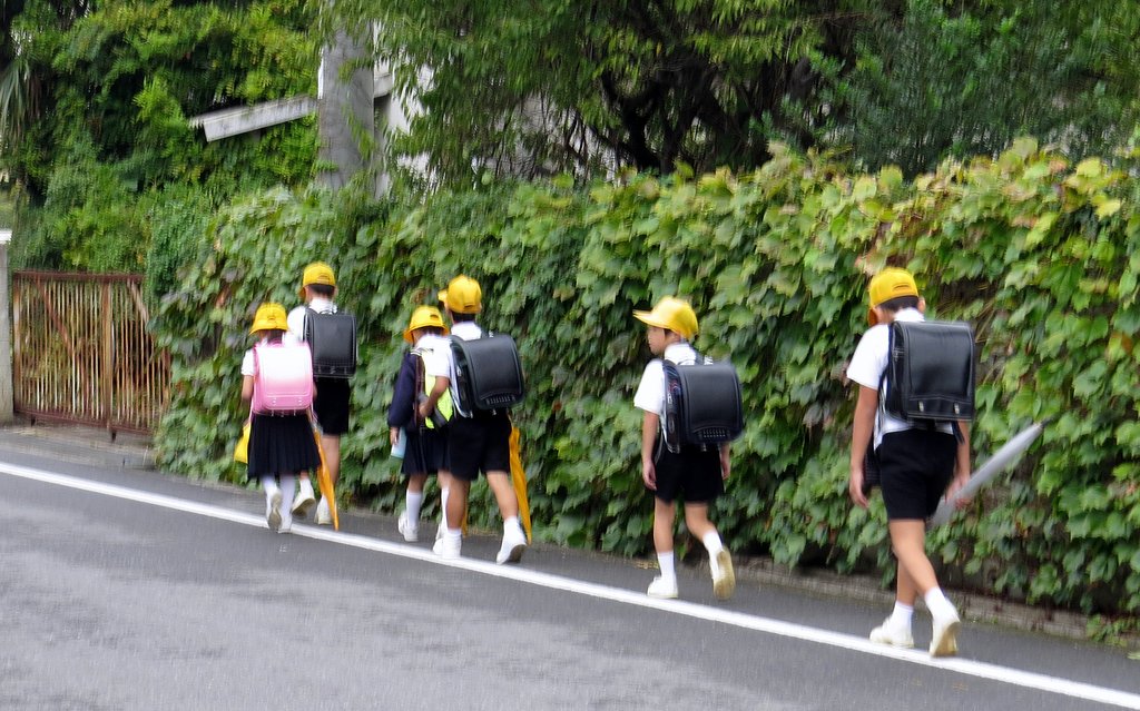 【元気】　今朝は頂きました。