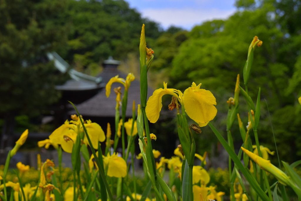 称名寺