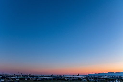 【花・空のある写真】Twilight②