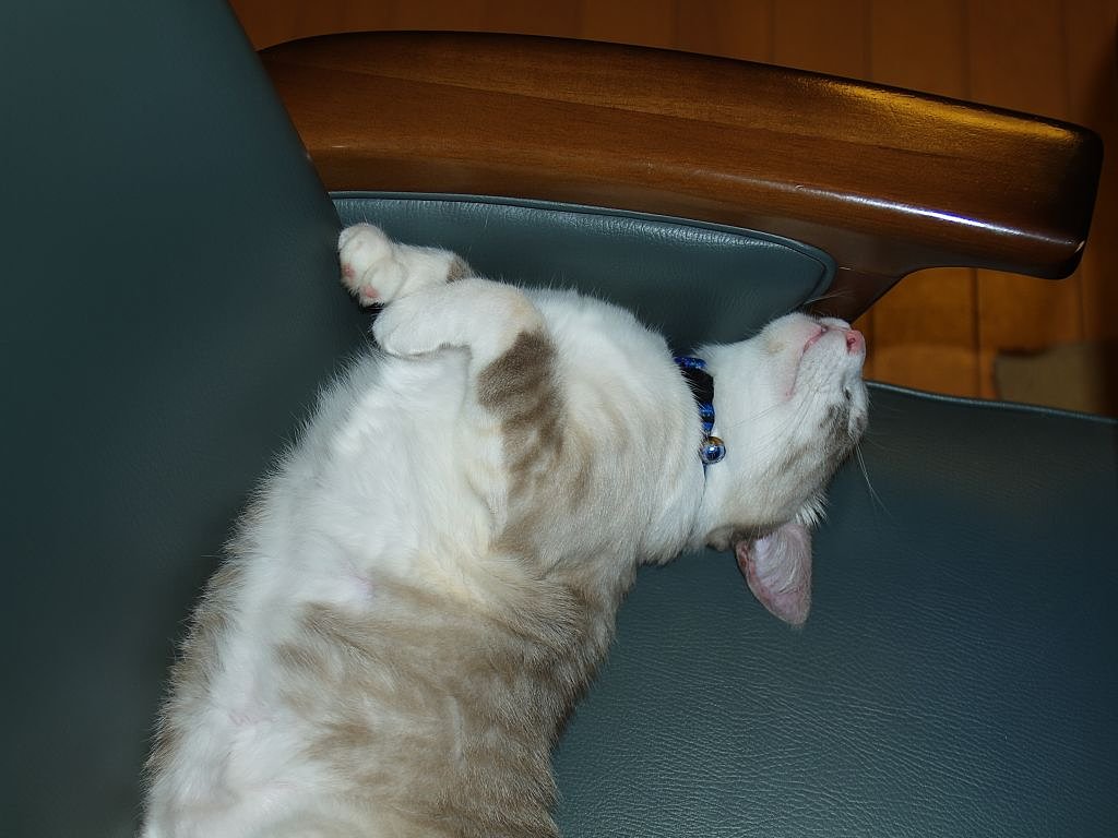 いい〜きぶ〜ん