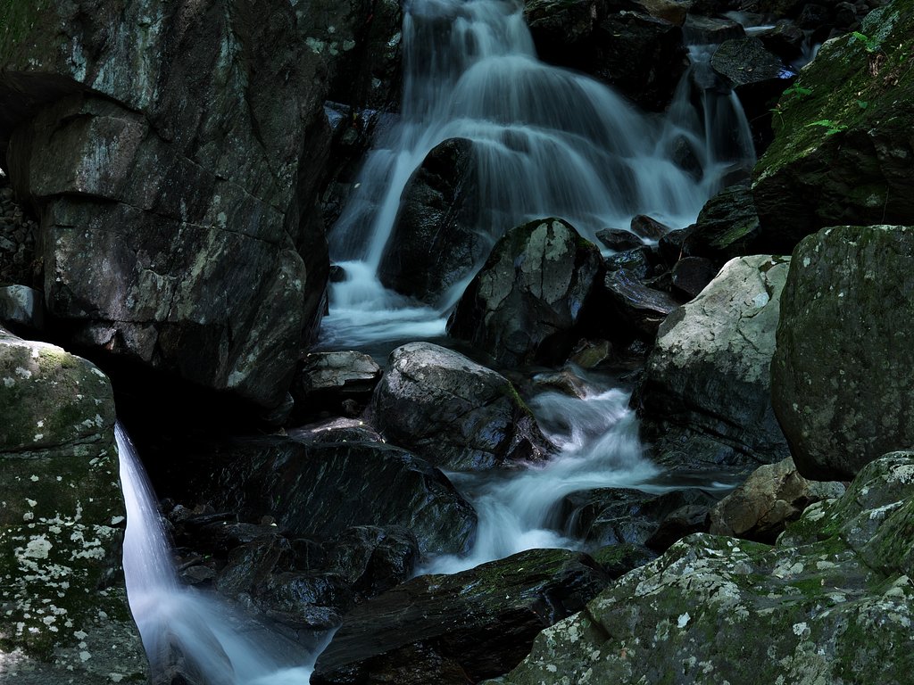 渓流2