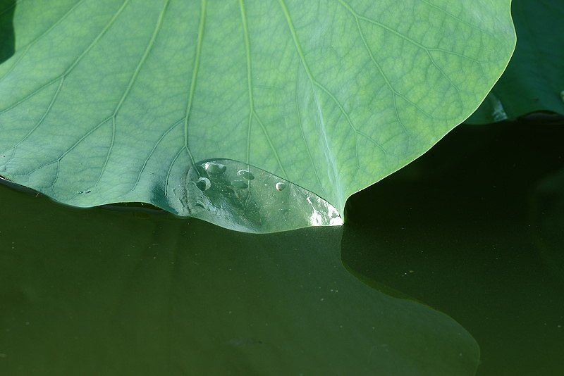 水面に侵入されて
