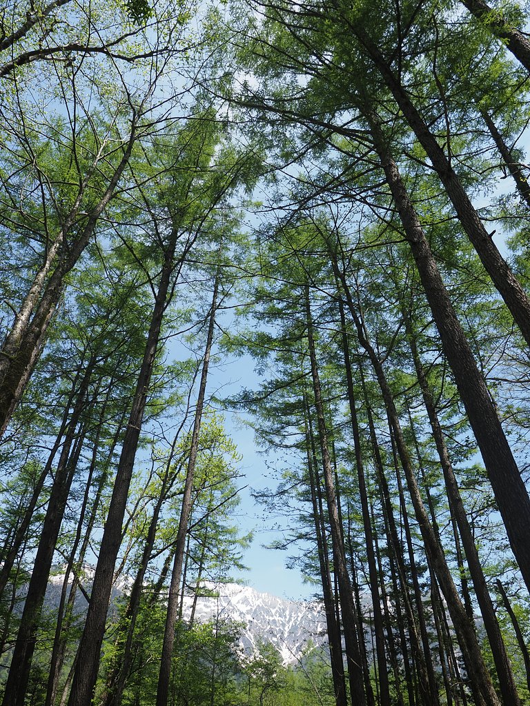 遥かなる穂高