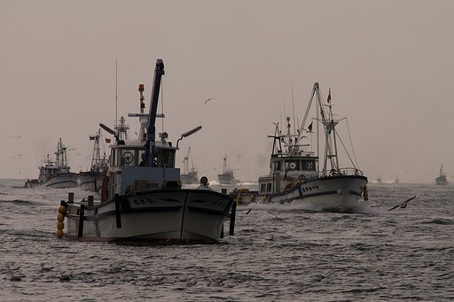 海に生きる