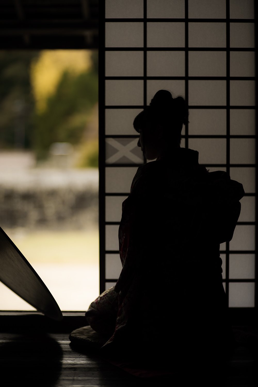 silhouette