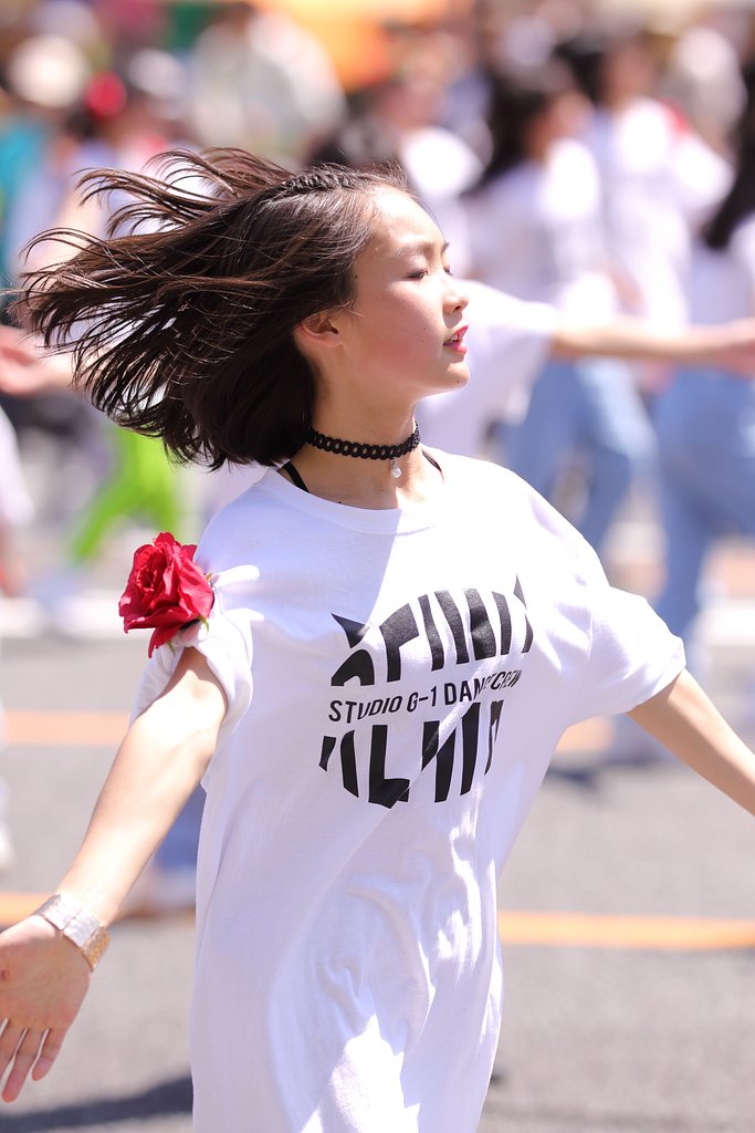 広島フラワーフェスティバル2019はじまる