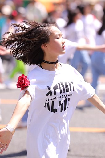 広島フラワーフェスティバル2019はじまる