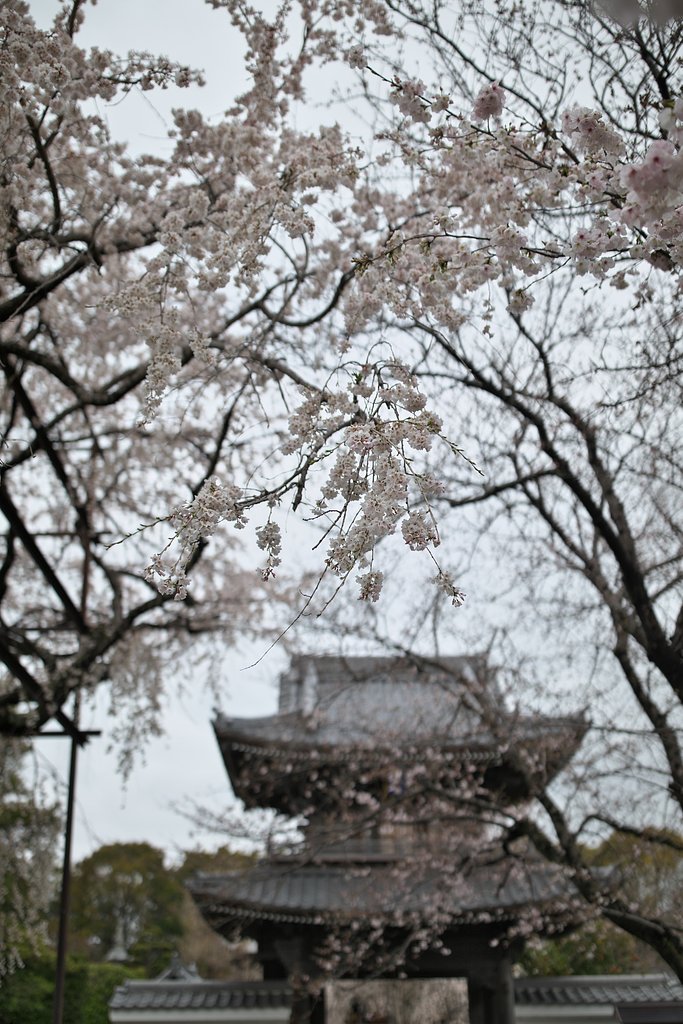 山門２