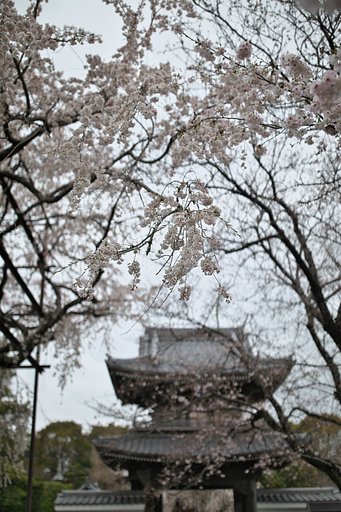 山門２