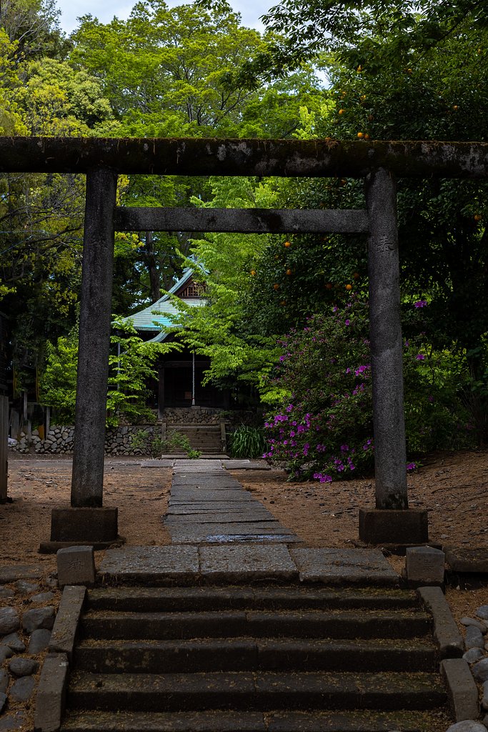 EF50mm f/1.2L USM