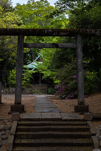 EF50mm f/1.2L USM