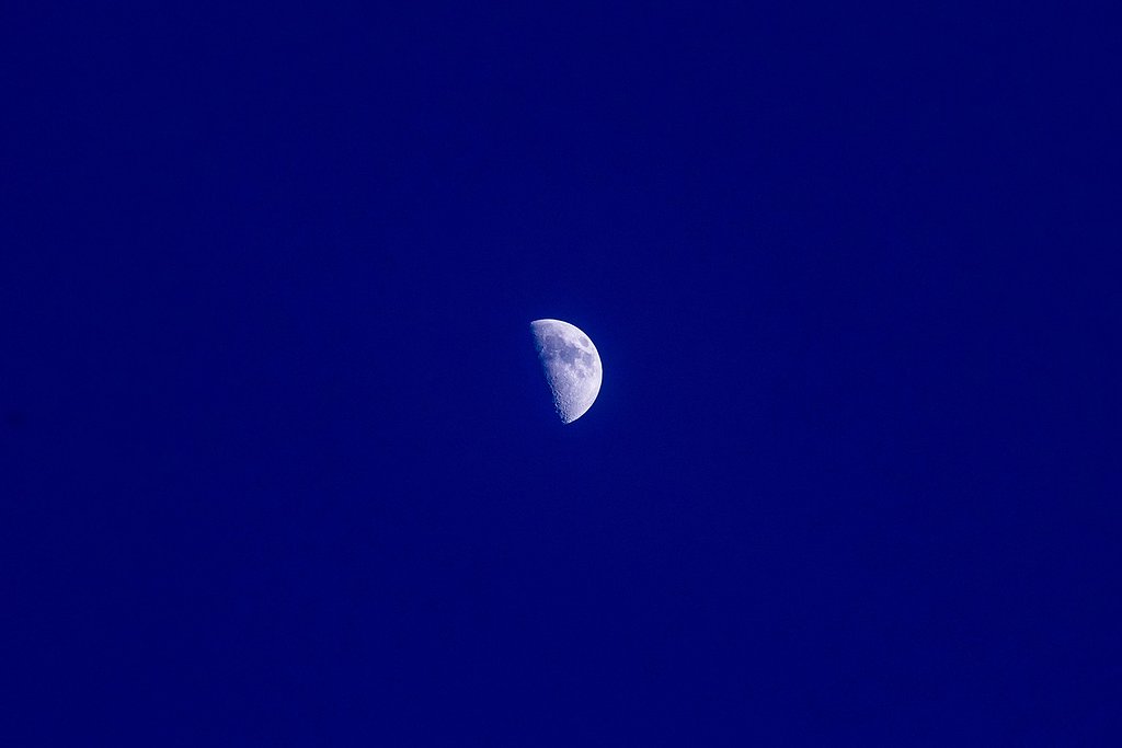 【花・空のある写真】半月