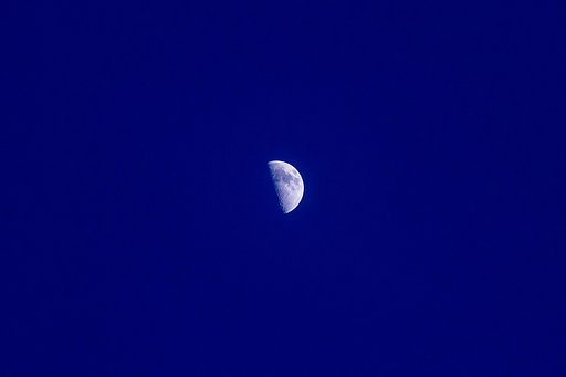 【花・空のある写真】半月