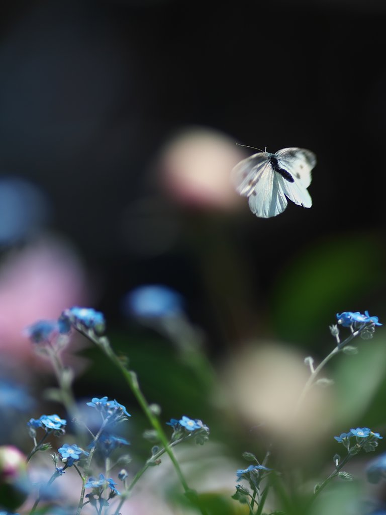 飛行4