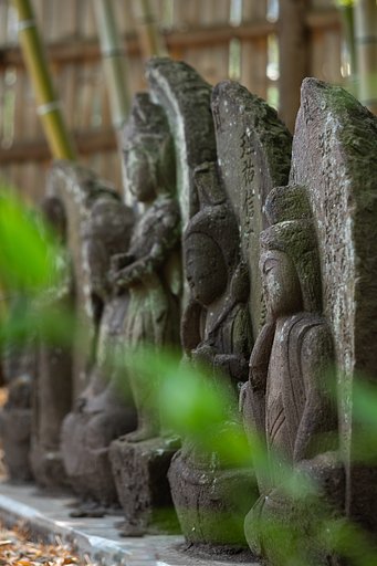 OLYMPUS M.60mm F2.8 Macro