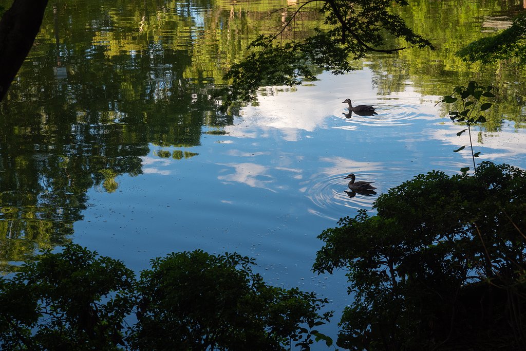 OLYMPUS M.12-40mm F2.8 PRO
