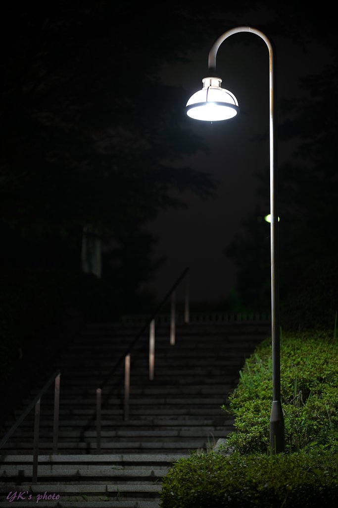 Otus 100mm F1.4 ZF2
