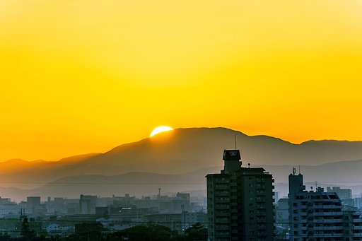 【花・空のある写真】5/23の日の出②