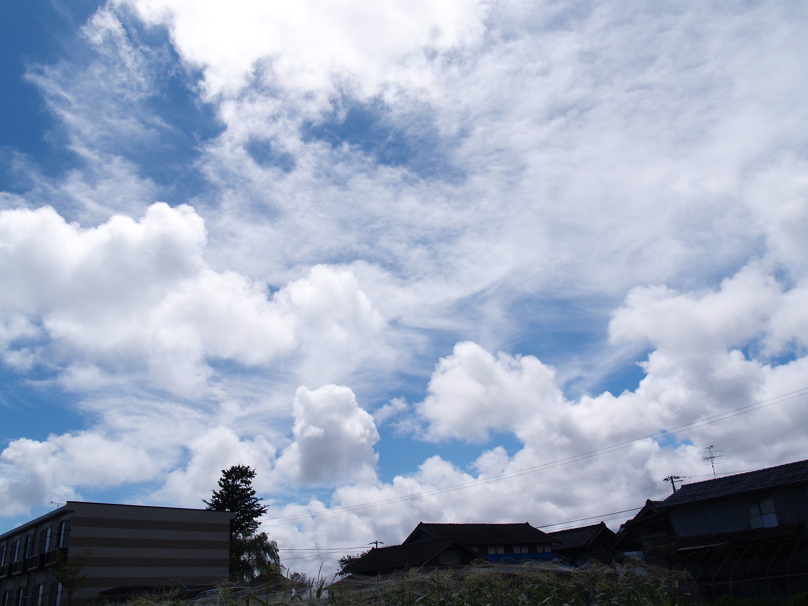 もくもく雲