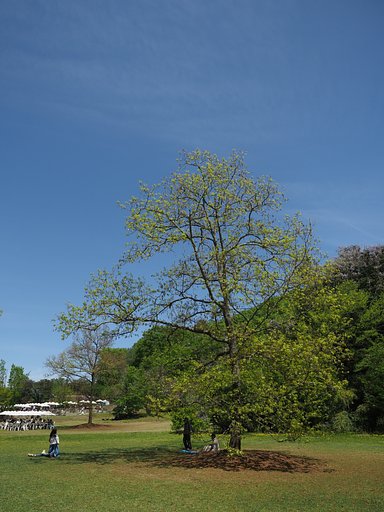 ５月の空