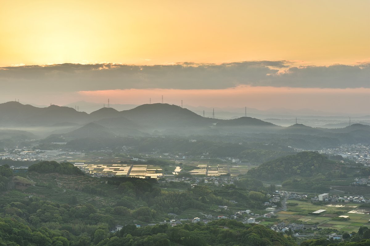 田植え前の水田