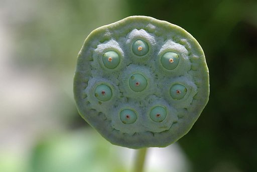 宇宙人？