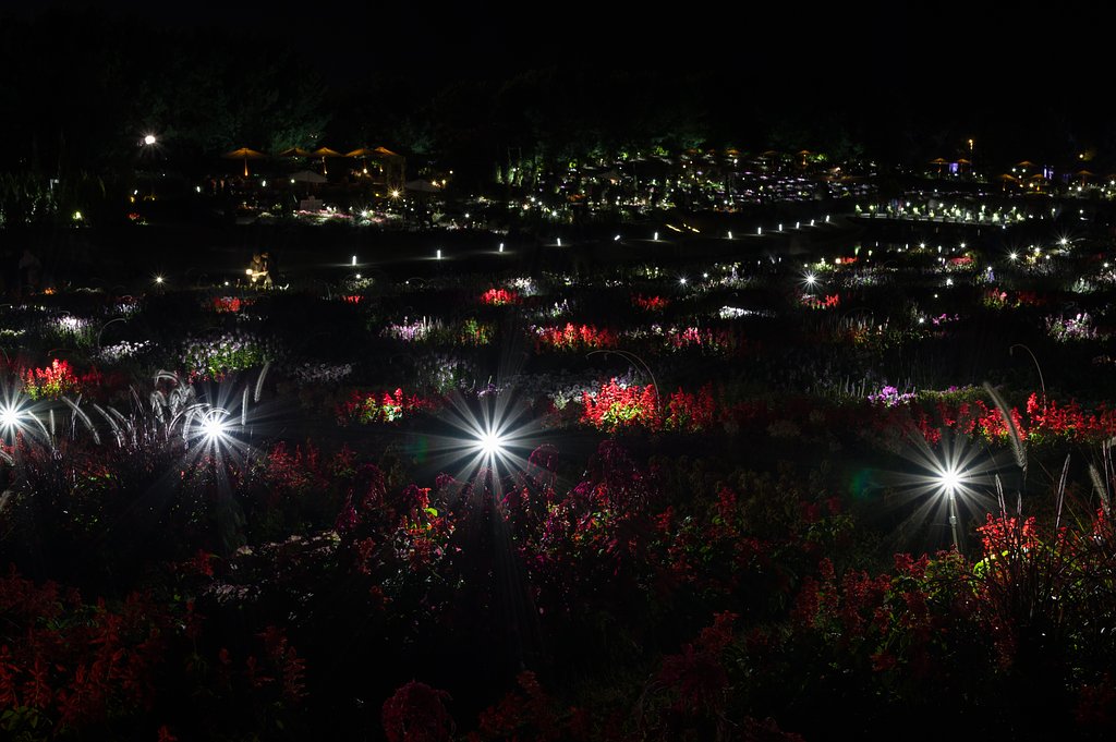 花博の夜