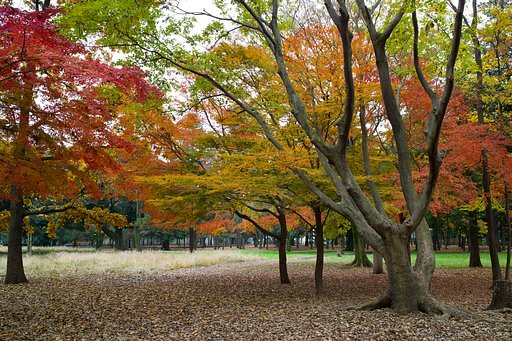 Leica Elmart 28mm F2.8 ASPH