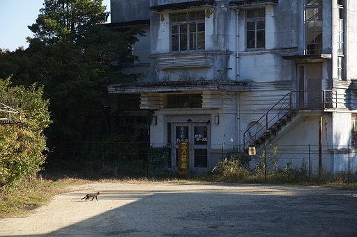 屋島山頂