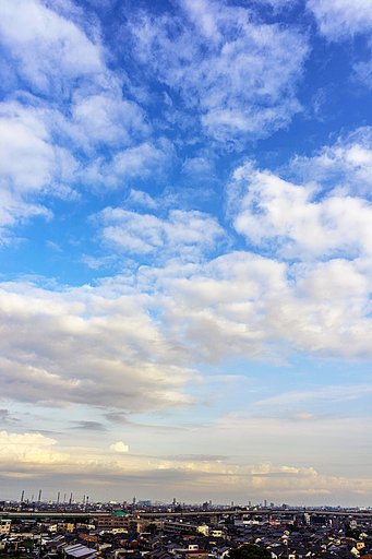 今日の朝