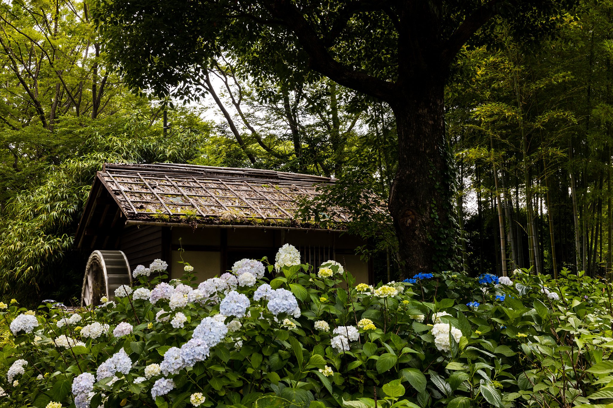 EF24-70mm f/4L IS USM