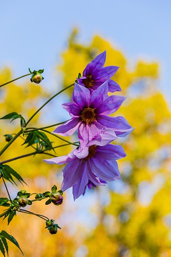 EF70-200mm f/4L IS USM