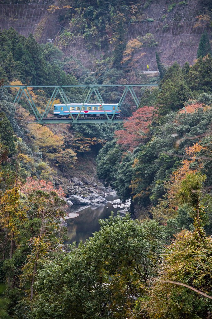 Autumn for a limited time（秋　期間限定）