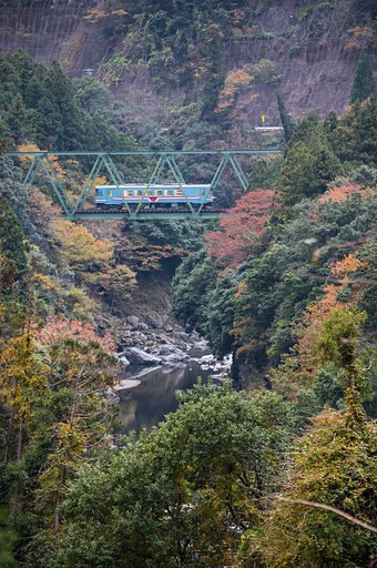 Autumn for a limited time（秋　期間限定）