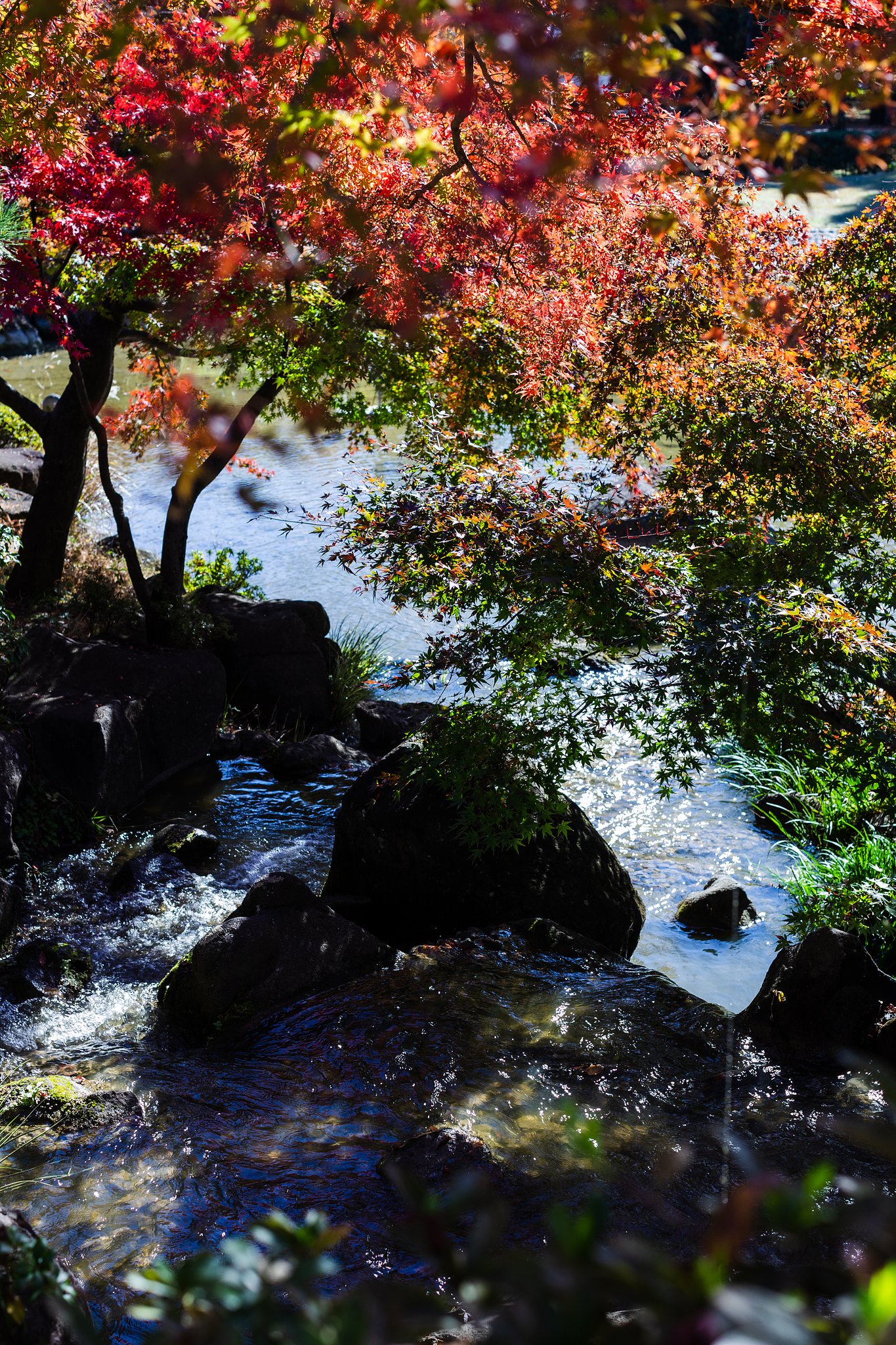 EF50mm F1.2 L
