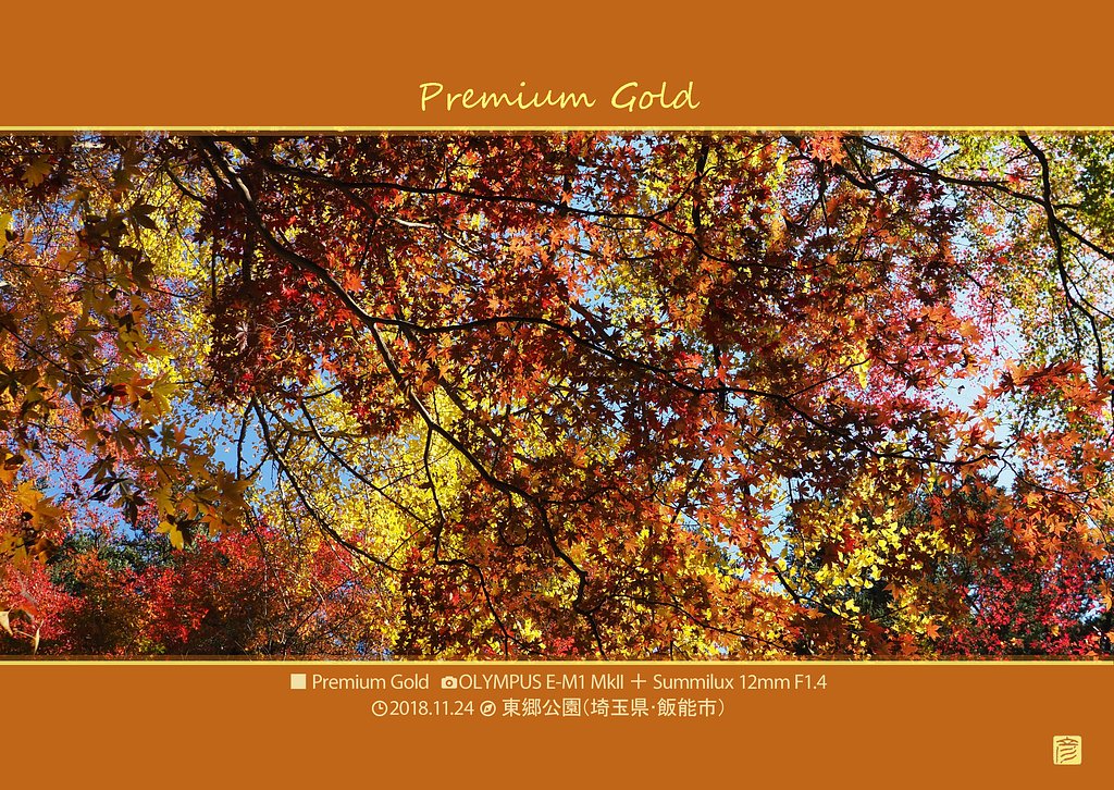 Premium Gold