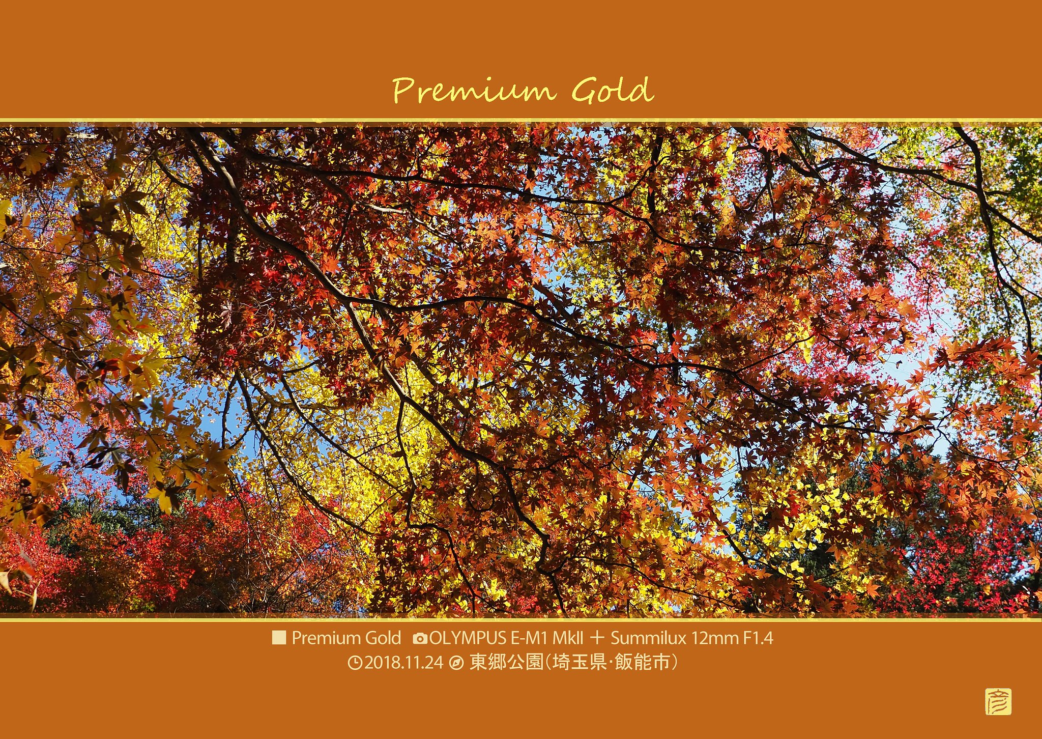 Premium Gold