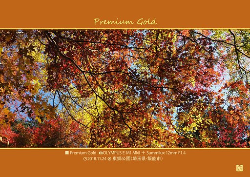 Premium Gold