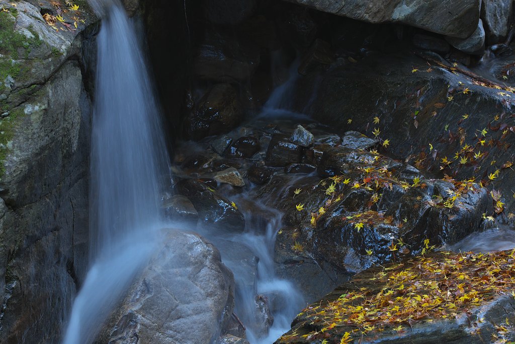 EF70-200mm F2.8L IS Ⅱ+EF1.4Ⅲ