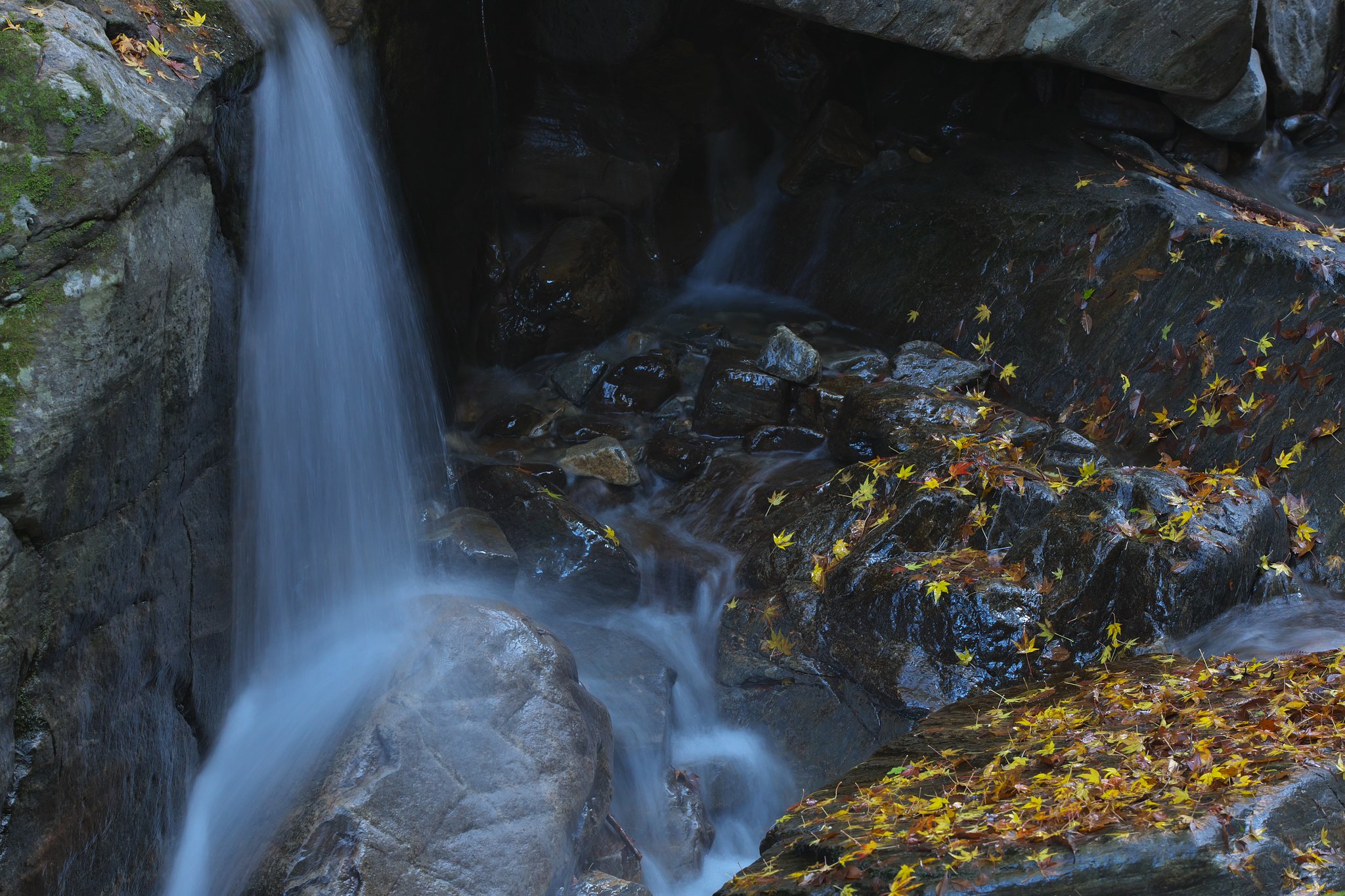 EF70-200mm F2.8L IS Ⅱ+EF1.4Ⅲ