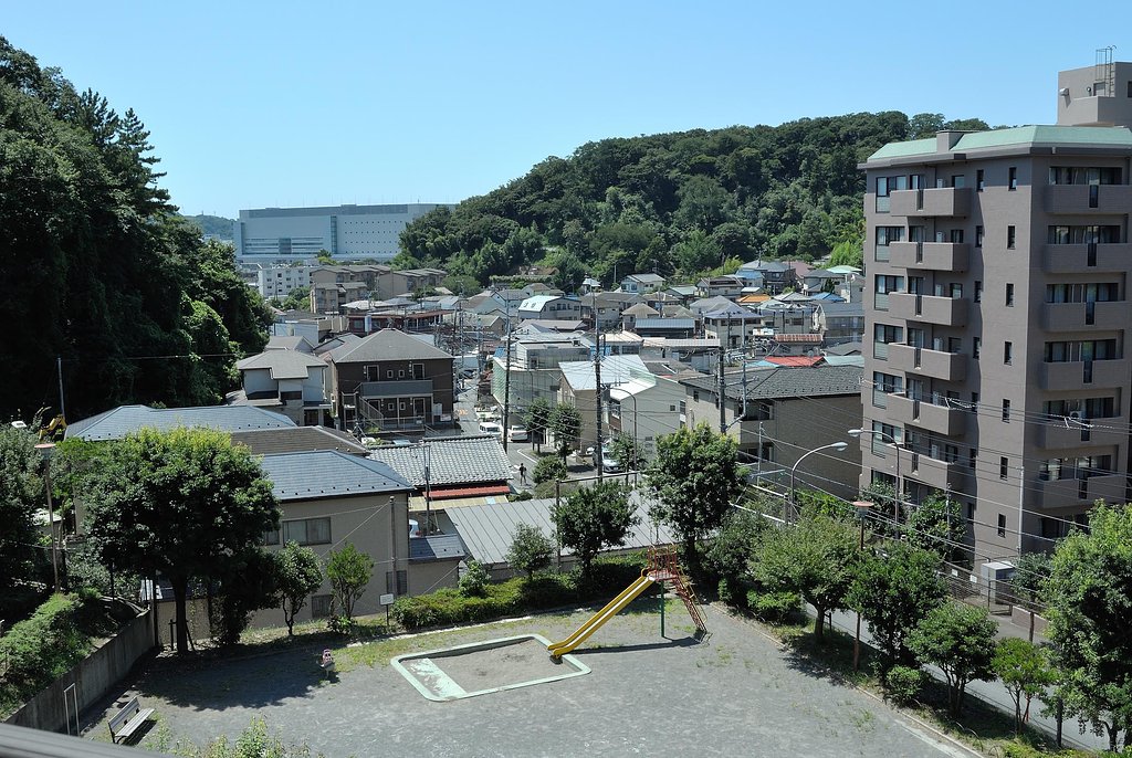 試写