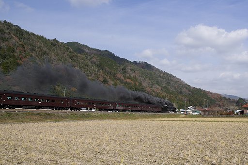D51