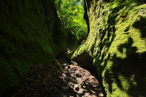 緑の回廊
