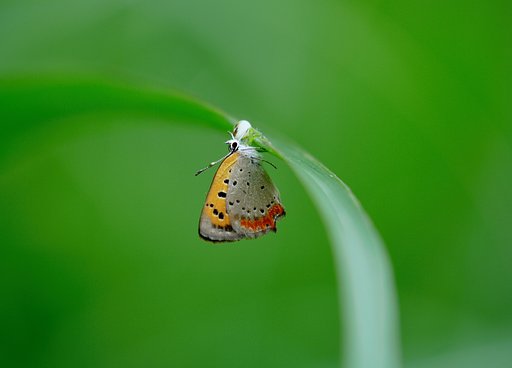 7月1日の写真