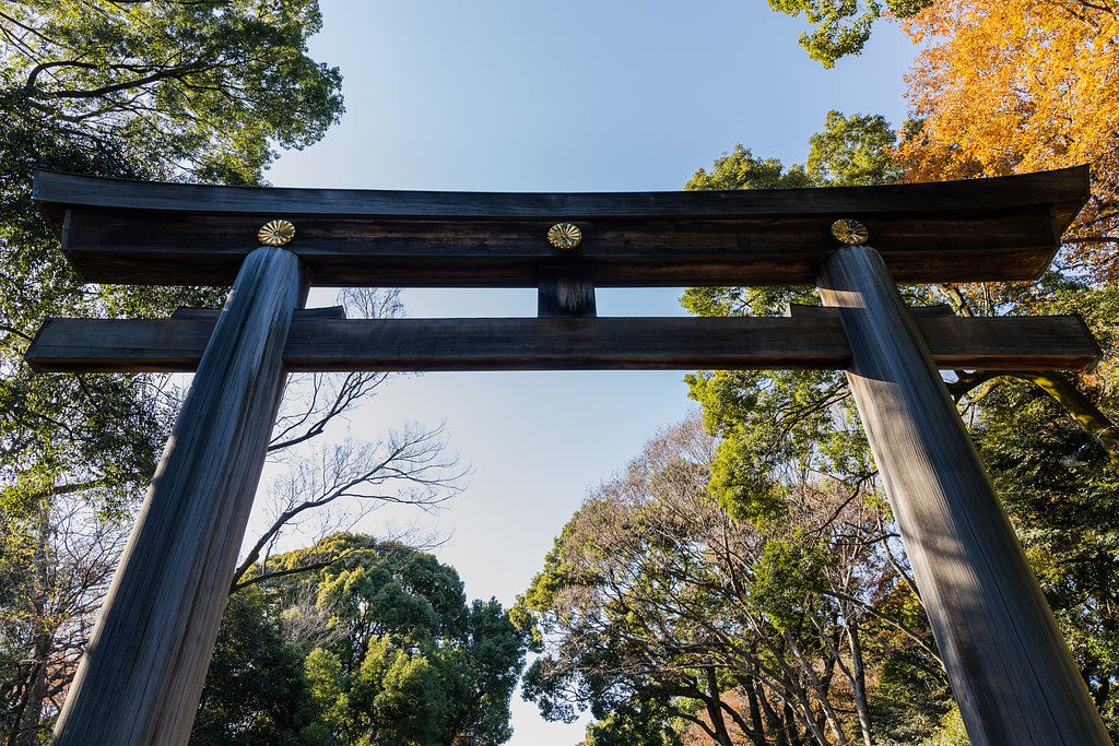 EF24-70mm f/4L IS USM