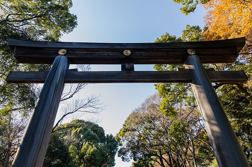 EF24-70mm f/4L IS USM