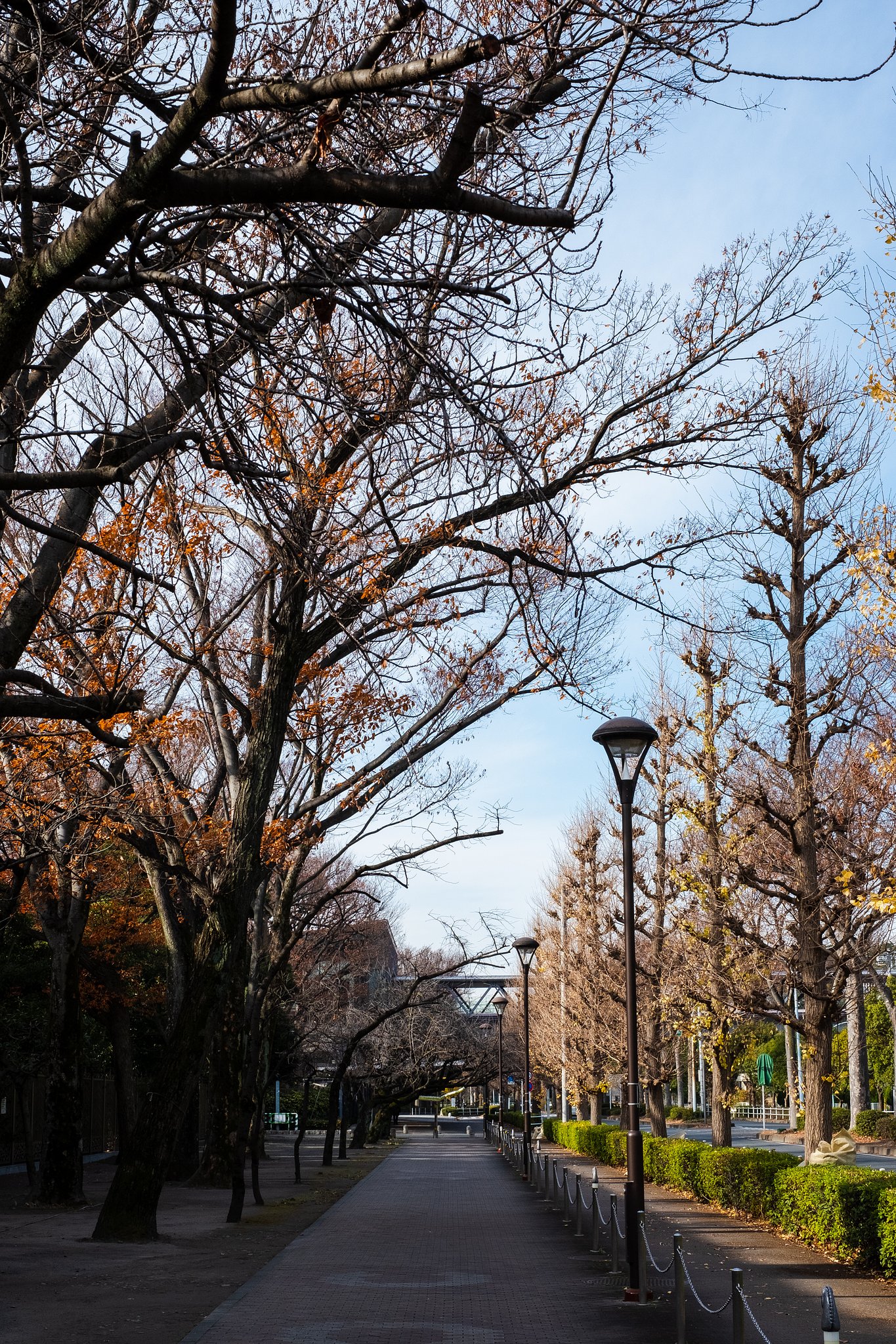FUJINON XF35mmF1.4 R
