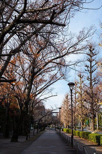 FUJINON XF35mmF1.4 R