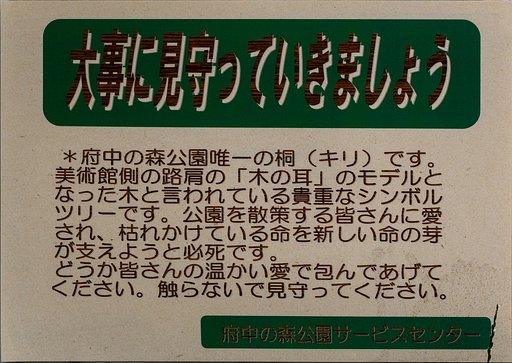 OLYMPUS M.60mm F2.8 Macro