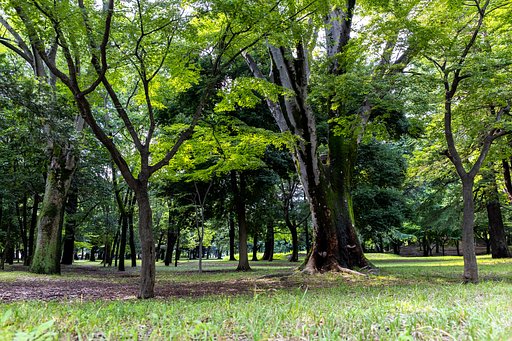 EF24-70mm f/4L IS USM